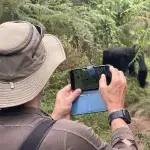 Bwindi Travel Guide for First Time Visitors