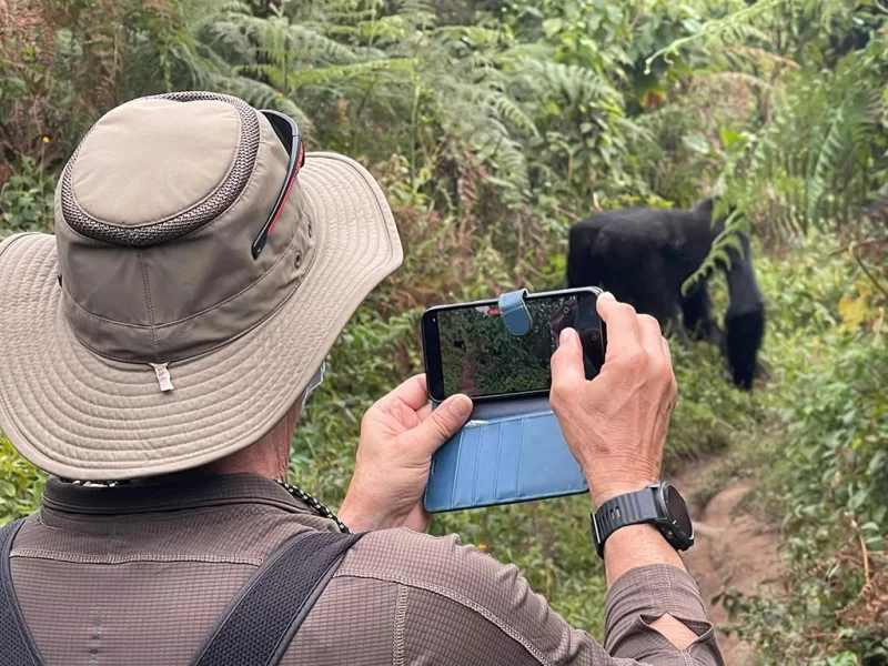 Bwindi Travel Guide for First Time Visitors