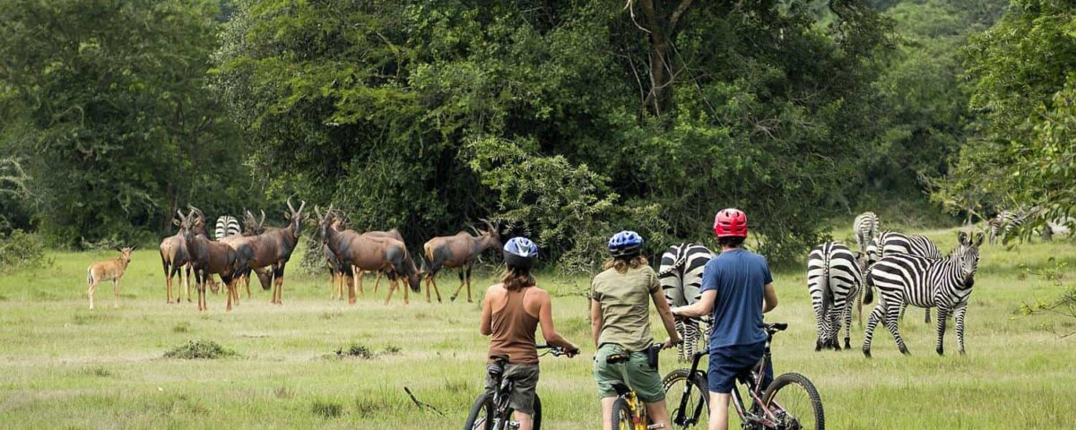 Cycling Safaris in Uganda
