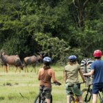 Cycling Safaris in Uganda
