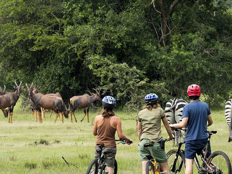 Cycling Safaris in Uganda