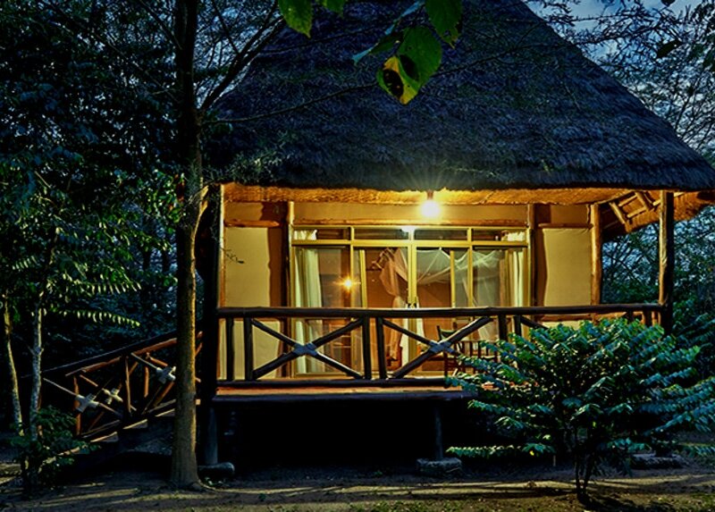 Ishasha Jungle Lodge
