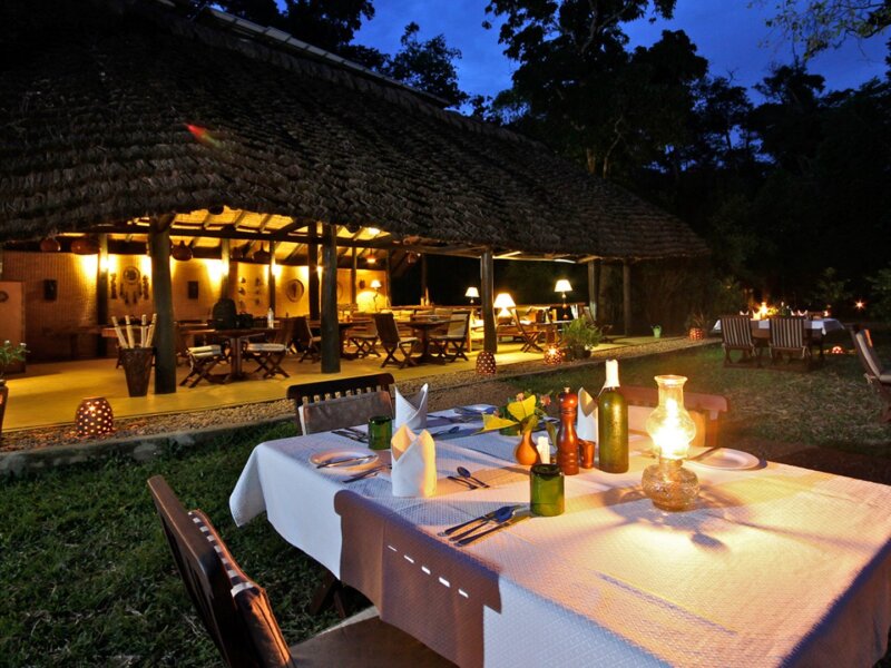 Ishasha Wilderness Camp