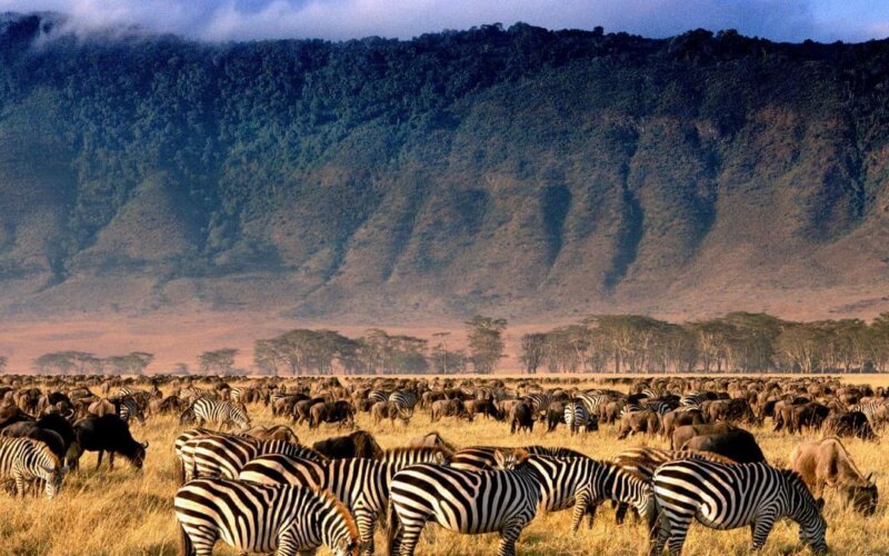 Ngorongoro Crater