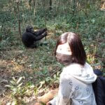 Primate habituation in Uganda