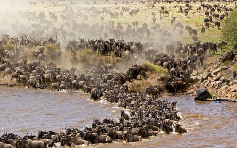 Serengeti National Park