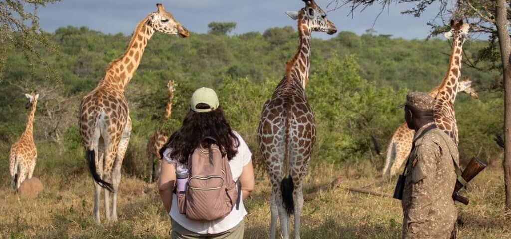 Walking Safaris in Uganda