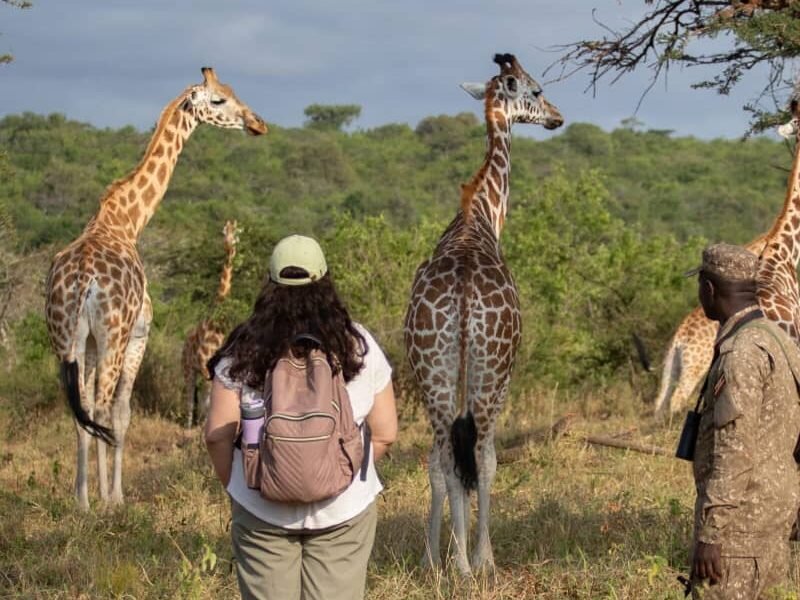 Walking Safaris in Uganda