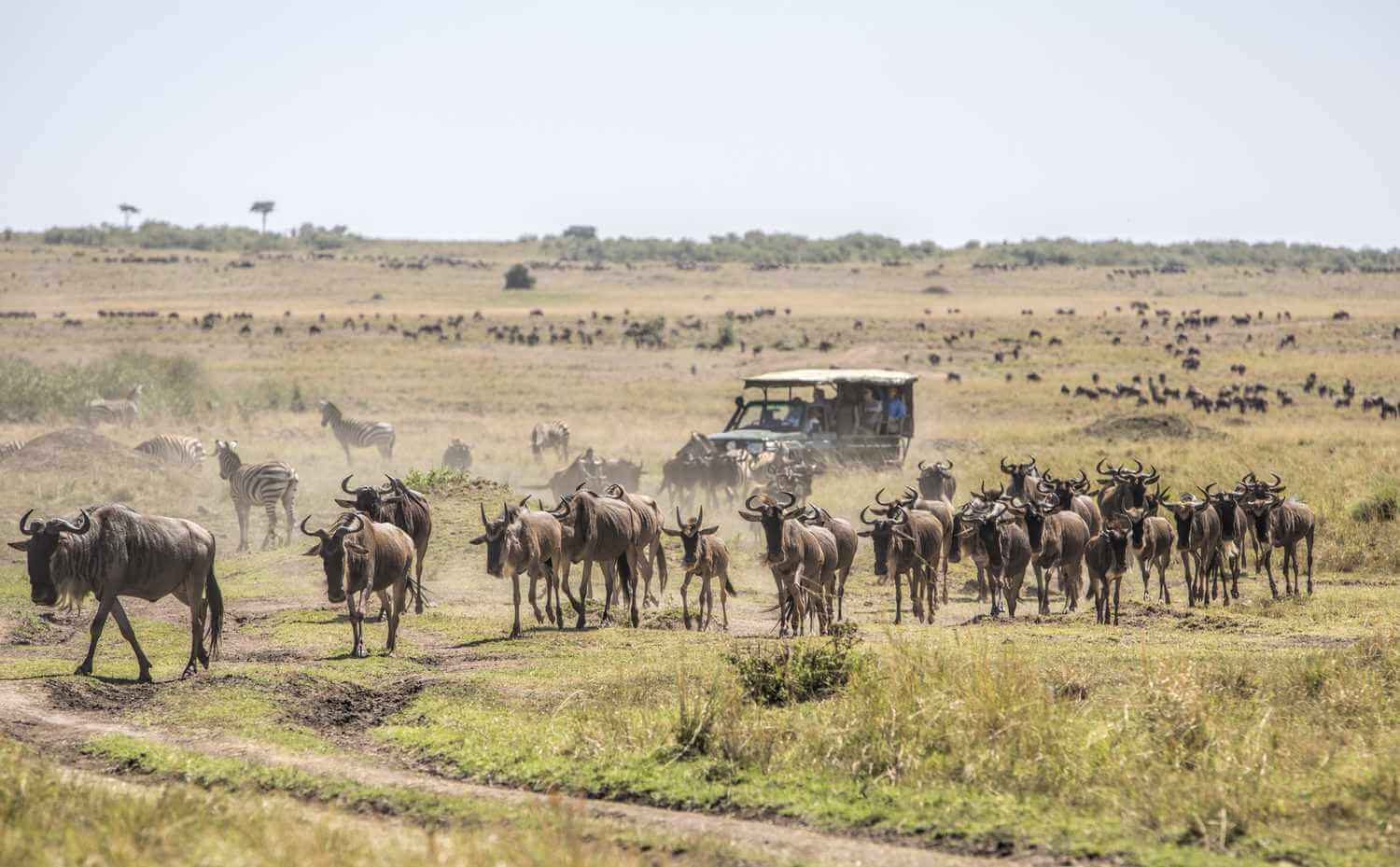17 Days East African Safari - Masai Mara
