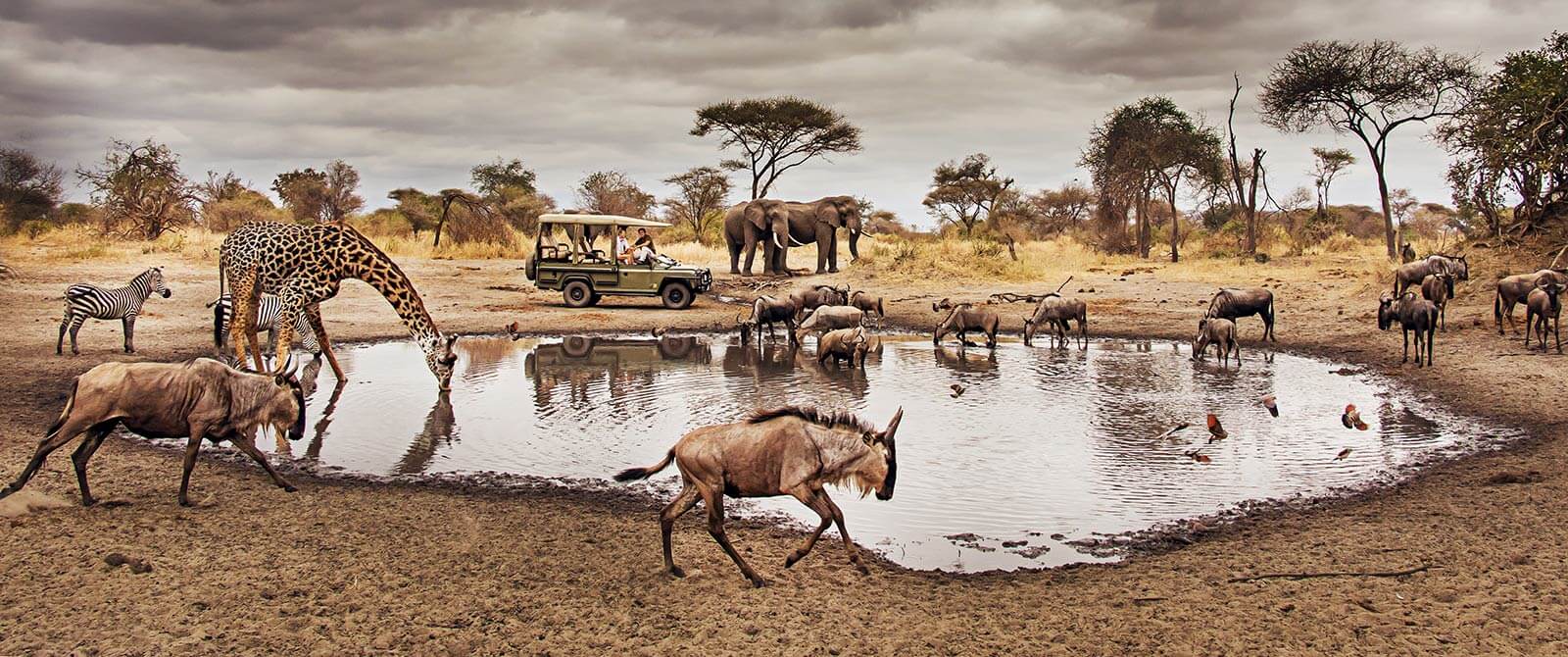 17 Days East African Safari - Serengeti National Park