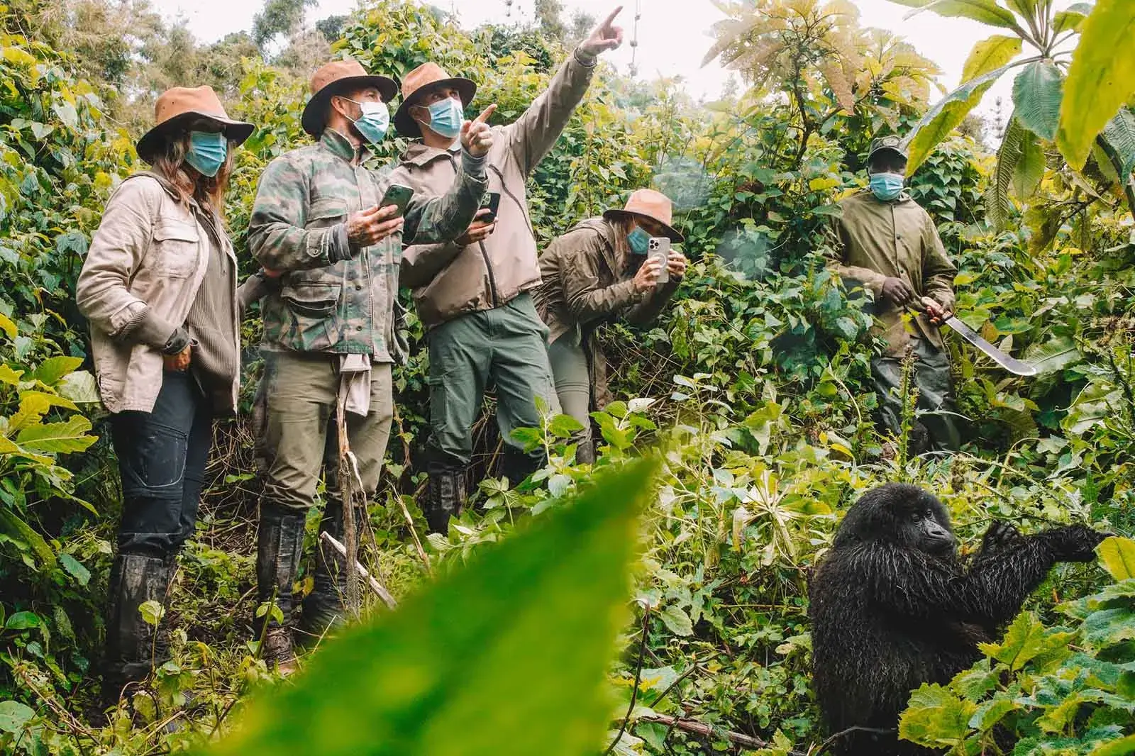 20 Days East African Safari - Gorilla Trekking in Bwindi