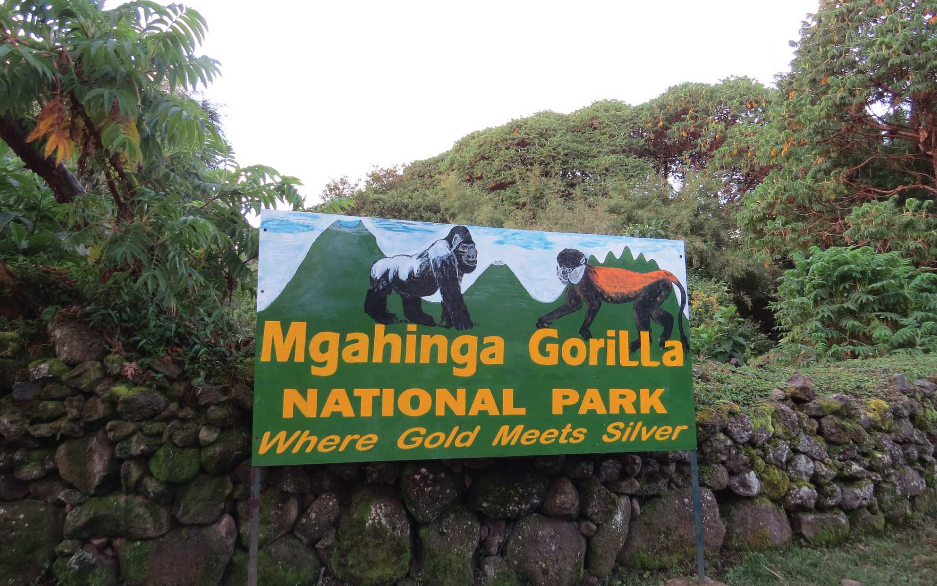 3 Days Budget Gorilla Trekking in Mgahinga National Park
