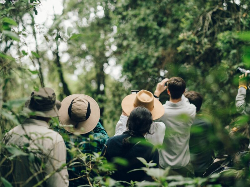 Small Group Tours to Uganda from Germany