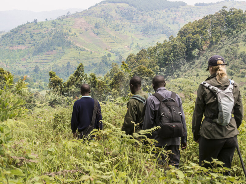 Small Group Tours to Uganda from Netherlands