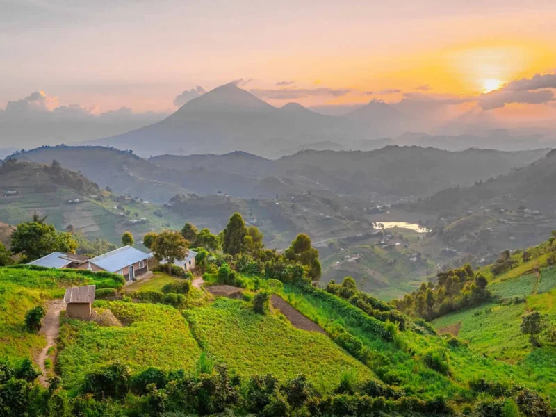 Small Group Tours to Uganda from the United Kingdom