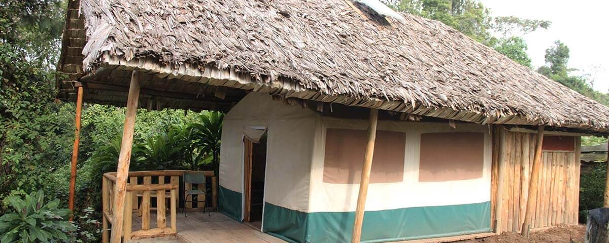 Broadbill Forest Camp