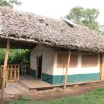 Broadbill Forest Camp