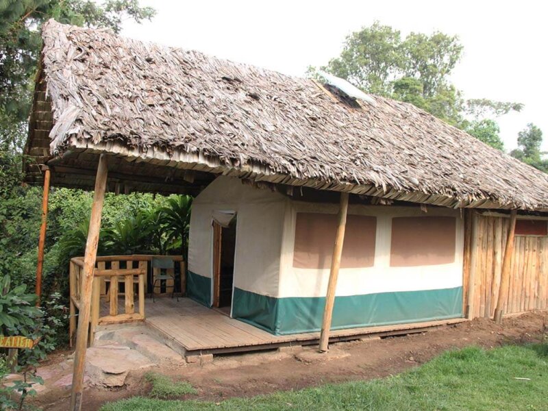 Broadbill Forest Camp