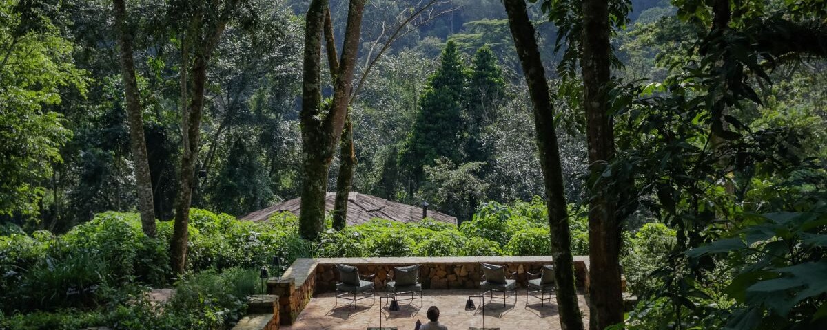 Bwindi View Lodge