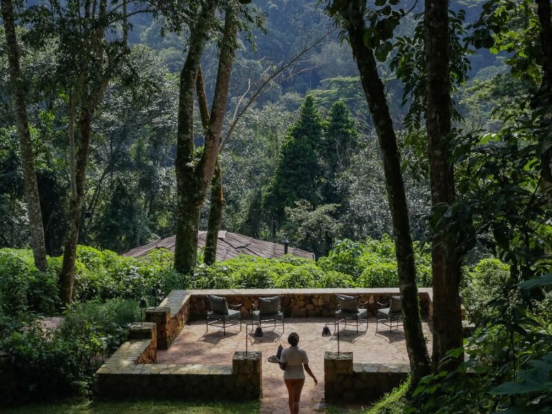 Bwindi View Lodge