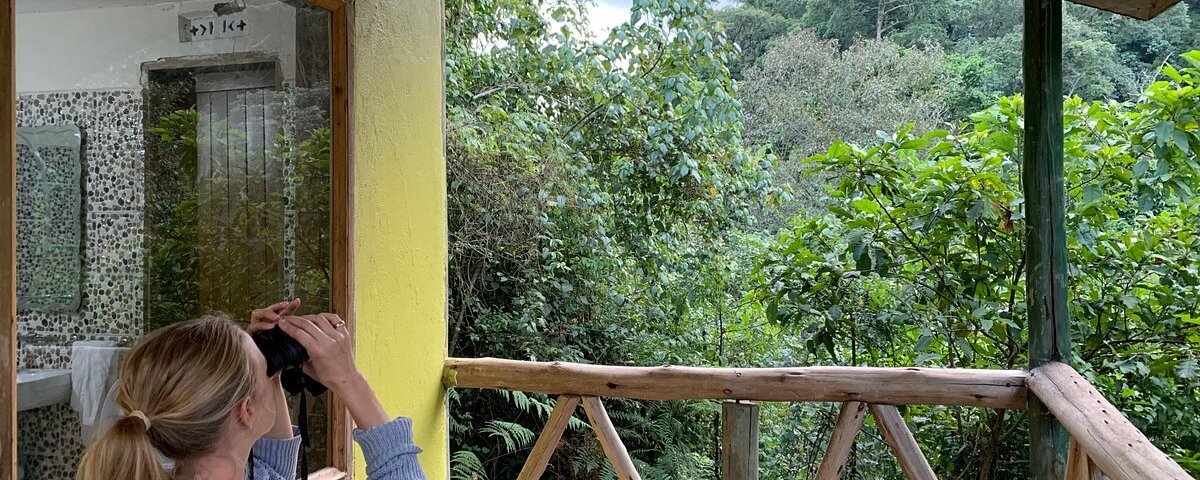 Gorilla Hills Eco Lodge