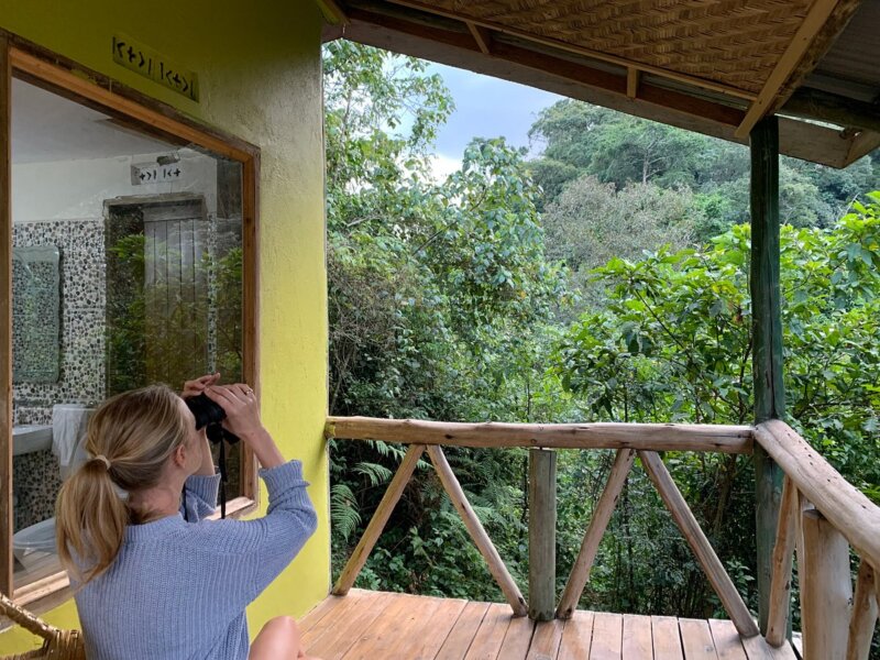 Gorilla Hills Eco Lodge