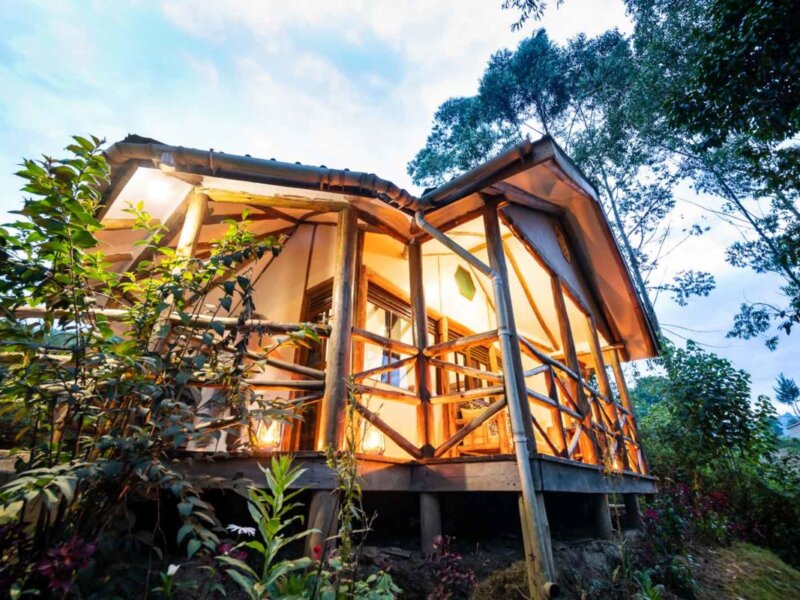 Gorilla Safari Lodge
