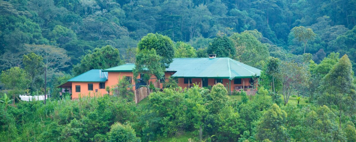 Gorilla Valley Lodge