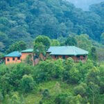 Gorilla Valley Lodge