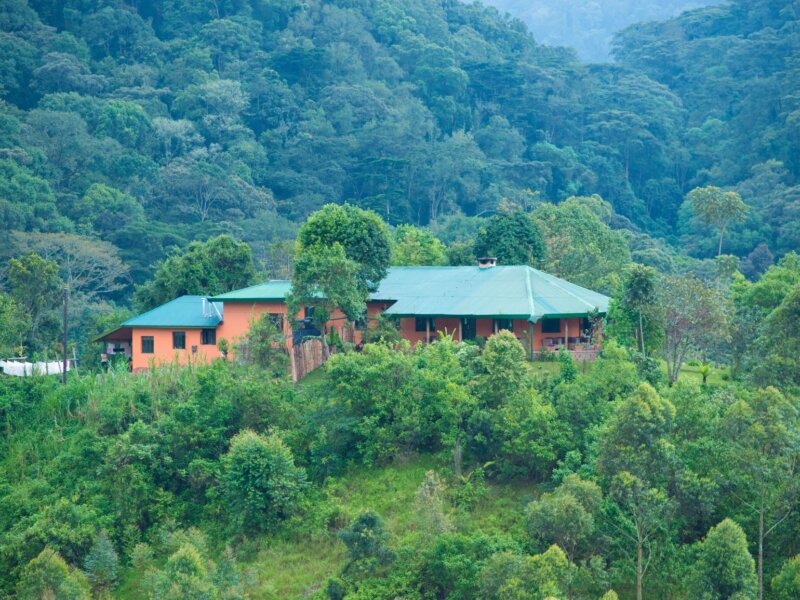 Gorilla Valley Lodge