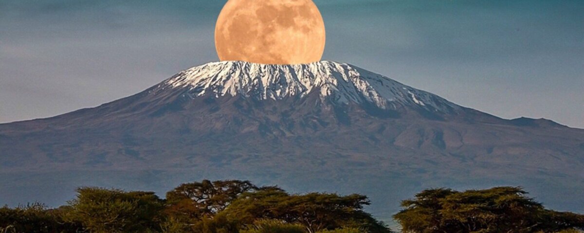 Mount Kilimanjaro & Gorilla Trekking in Uganda
