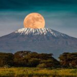 Mount Kilimanjaro & Gorilla Trekking in Uganda