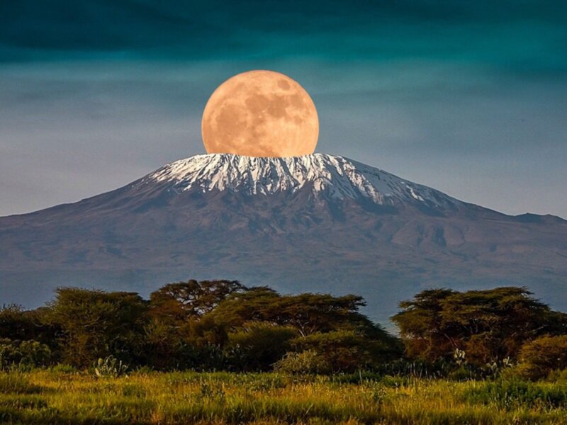 Mount Kilimanjaro & Gorilla Trekking in Uganda