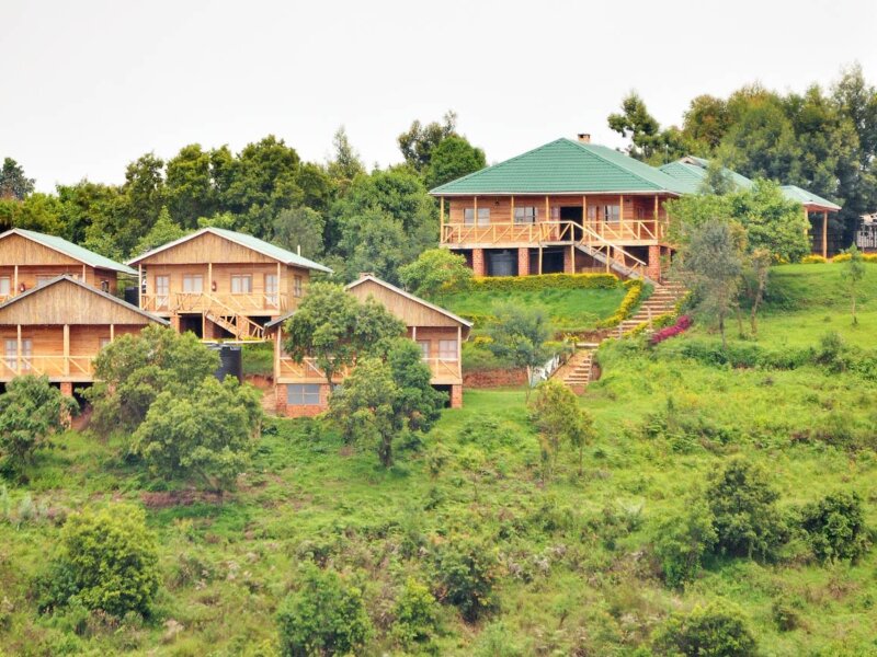 Ruhija Gorilla Safari Lodge