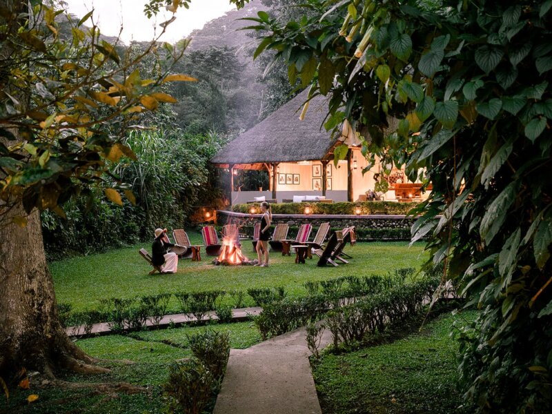 Sanctuary Gorilla Forest Camp