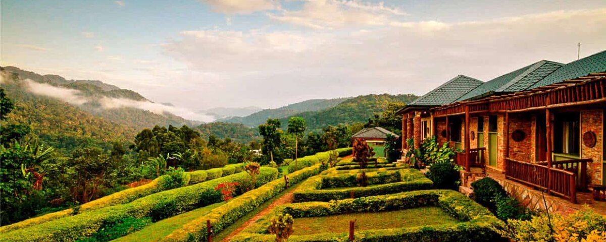 Silverback Lodge