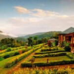 Silverback Lodge