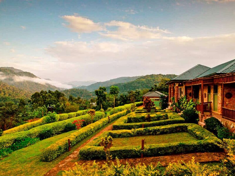 Silverback Lodge