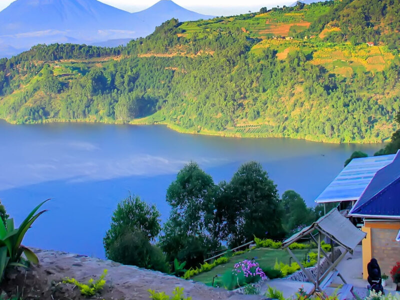 Lake Mulehe Gorilla Lodge
