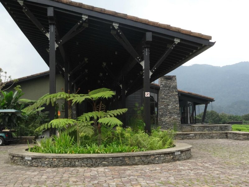 Nyungwe Forest Lodge