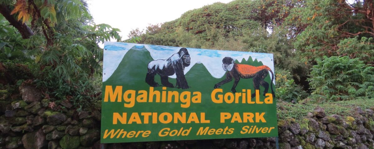 Closest Airports to Mgahinga Gorilla National Park