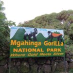 Closest Airports to Mgahinga Gorilla National Park