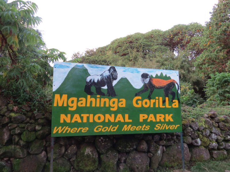 Closest Airports to Mgahinga Gorilla National Park