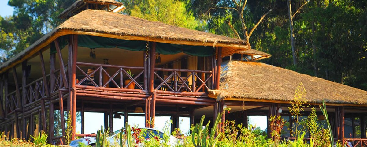 Da Vinci Gorilla Lodge
