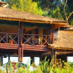 Da Vinci Gorilla Lodge