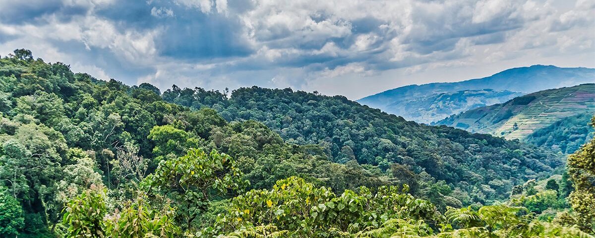 Distance from Entebbe to Bwindi
