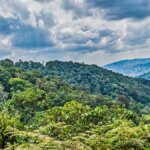 Distance from Entebbe to Bwindi