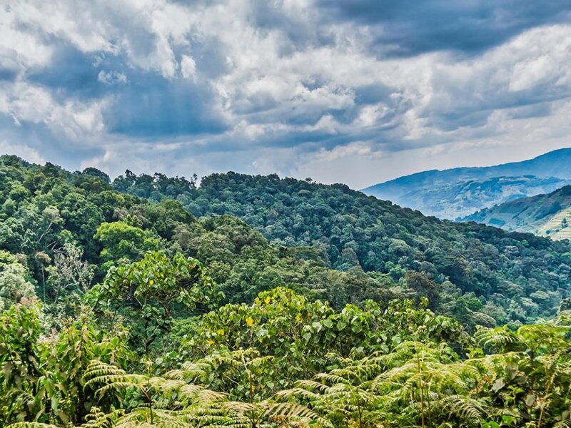 Distance from Entebbe to Bwindi