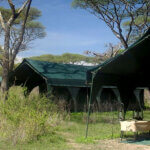 Kirurumu Tarangire Lodge