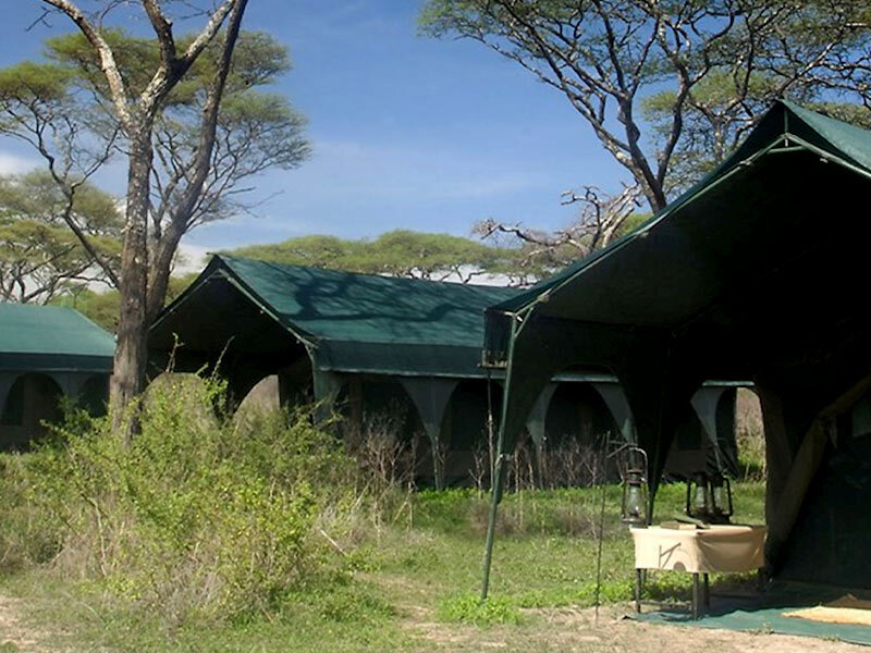 Kirurumu Tarangire Lodge